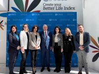 participarea-amepip-la-reuniunea-dedicat-romniei-n-cadrul-grupului-de-lucru-al-ocde-